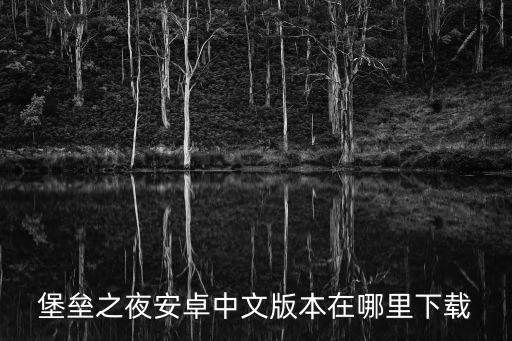堡垒之夜安卓中文版本在哪里下载