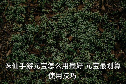 诛仙手游元宝怎么用最好 元宝最划算使用技巧