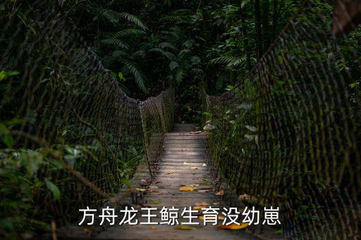 方舟龙王鲸生育没幼崽