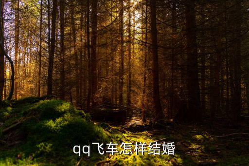 手游qq飞车要怎么结婚，qq飞车怎样结婚