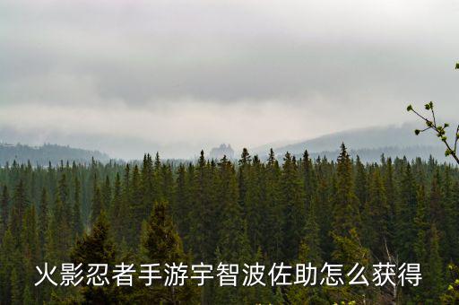 火影忍者手游麒麟怎么得，火影忍者手游宇智波佐助怎么获得
