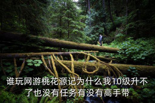 谁玩网游桃花源记为什么我10级升不了也没有任务有没有高手带