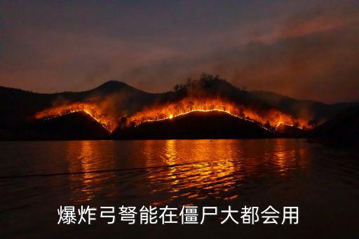 爆炸弓弩能在僵尸大都会用