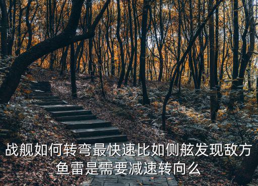 手游版战舰世界鱼雷机怎么换方向，战舰世界怎么在z跟踪视角下在不同组的鱼雷之间切换视角