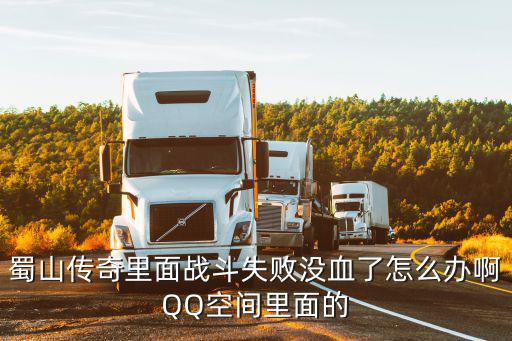 蜀山传奇里面战斗失败没血了怎么办啊QQ空间里面的