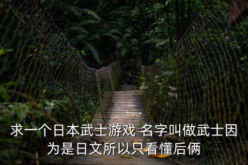 求一个日本武士游戏 名字叫做武士因为是日文所以只看懂后俩