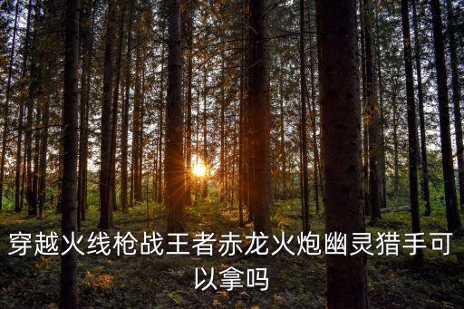 穿越火线枪战王者赤龙火炮幽灵猎手可以拿吗