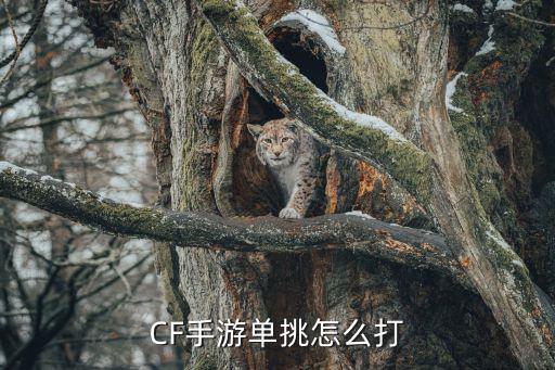 cf手游刀锋任务怎么打，cf手游迷城币小程序任务怎么完成