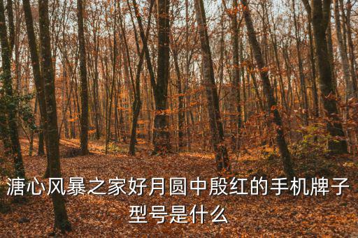 溏心风暴之家好月圆中殷红的手机牌子型号是什么