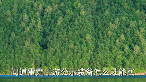 问道雷霆手游公示装备怎么才能买