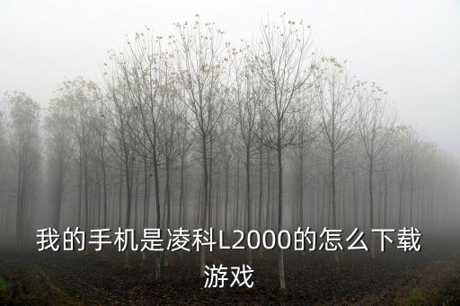 我的手机是凌科L2000的怎么下载游戏