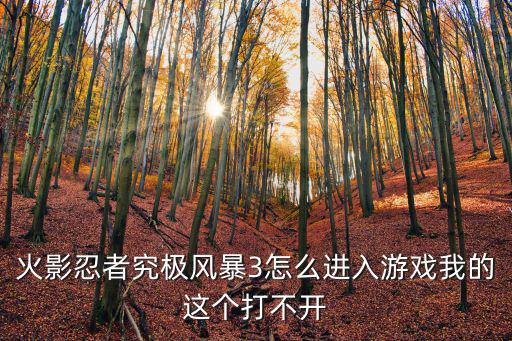 火影手游3d怎么进去，手游火影世界3d怎么进不去