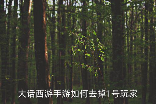 大话手游怎么去除登录的账号，大话西游手游如何去掉1号玩家