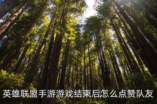 英雄联盟手游游戏结束后怎么点赞队友
