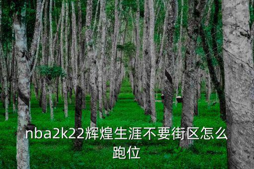 手游2k22跑位路线怎么调，2k22怎么显示战术路线