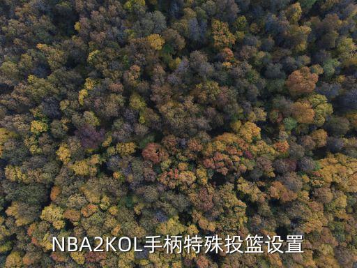 NBA2KOL手柄特殊投篮设置