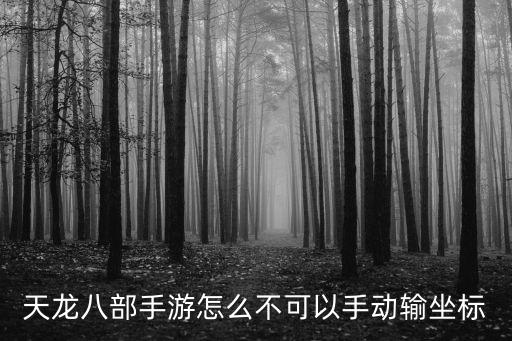天龙八部手游怎么不可以手动输坐标