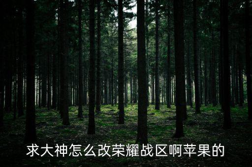 求大神怎么改荣耀战区啊苹果的