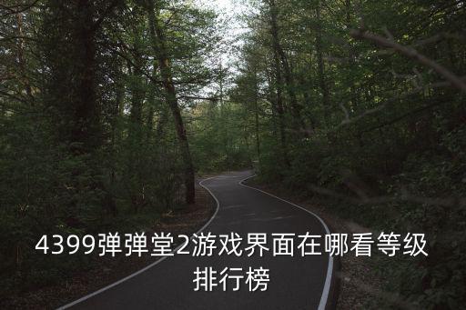 4399弹弹堂2游戏界面在哪看等级排行榜