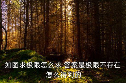 如图求极限怎么求 答案是极限不存在 怎么得到的
