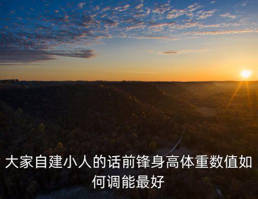 大家自建小人的话前锋身高体重数值如何调能最好