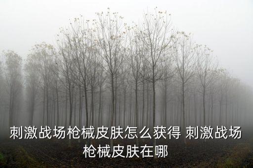 刺激战场枪械皮肤怎么获得 刺激战场枪械皮肤在哪