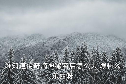 谁知道传奇滴神秘商店怎么去 爆什么东西呀
