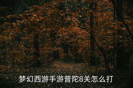 梦幻西游手游普陀8关怎么打