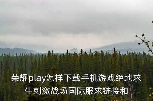 荣耀play怎样下载手机游戏绝地求生刺激战场国际服求链接和