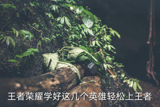 王者荣耀学好这几个英雄轻松上王者