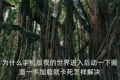 为什么手机版我的世界进入后动一下画面一多加载就卡死怎样解决