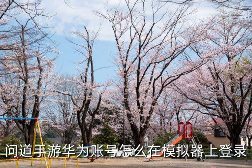 问道手游华为账号怎么在模拟器上登录