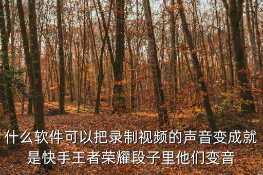 手游王者荣耀视频怎么录制配音，什么软件可以把录制视频的声音变成就是快手王者荣耀段子里他们变音