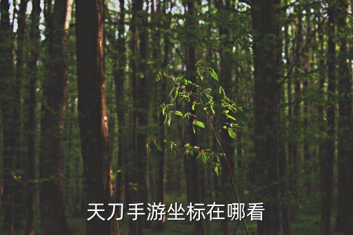 天刀手游坐标在哪看