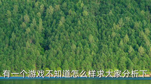 有一个游戏不知道怎么样求大家分析下