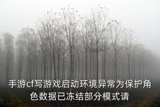 cf手游不敢说的话怎么写，手游cf写游戏启动环境异常为保护角色数据已冻结部分模式请