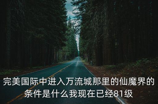 完美国际中进入万流城那里的仙魔界的条件是什么我现在已经81级