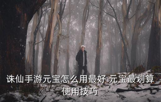 诛仙手游怎么提高元宝，诛仙手游元宝怎么用最好 元宝最划算使用技巧