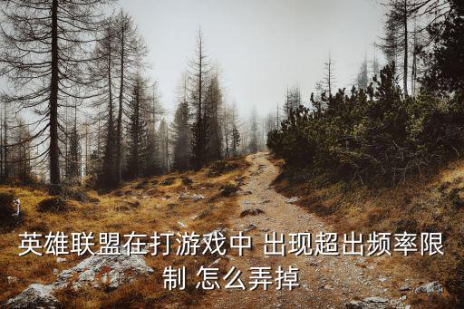 联盟手游申请过于频繁怎么解决，英雄联盟在打游戏中 出现超出频率限制 怎么弄掉