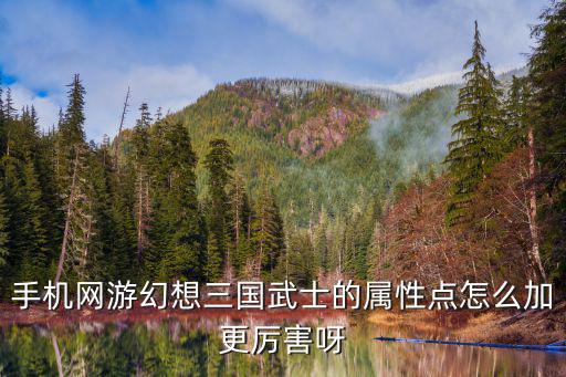 手机网游幻想三国武士的属性点怎么加更厉害呀