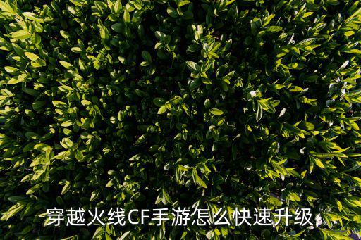 cf手游怎么升级英雄级，穿越火线CF手游怎么快速升级
