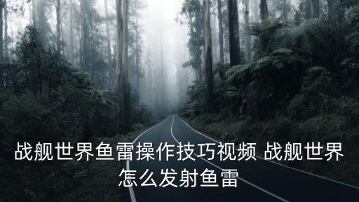 战舰世界鱼雷操作技巧视频 战舰世界怎么发射鱼雷