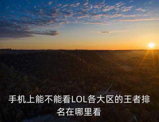 手机上能不能看LOL各大区的王者排名在哪里看