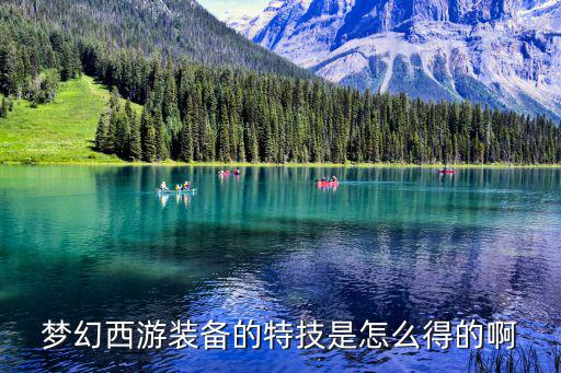 梦幻手游双特技怎么来的，梦幻西游装备的特技是怎么得的啊