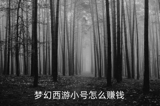 梦幻手游小号怎么搞钱，梦幻西游小号时怎么赚钱