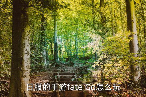 日服的手游fate Go怎么玩