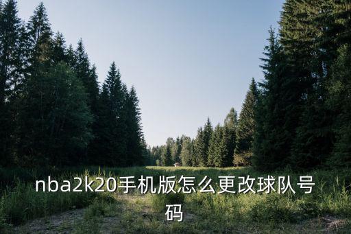 nba手游2020怎么修改，nba2k20手机版怎么更改球队号码