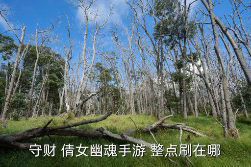 守财 倩女幽魂手游 整点刷在哪