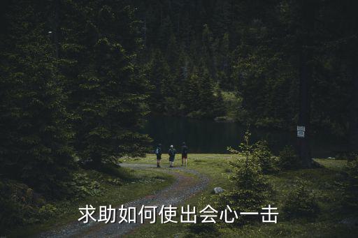 求助如何使出会心一击