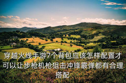 穿越火线手游7个背包应该怎样配置才可以让步枪机枪狙击冲锋霰弹都有合理搭配